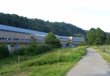 Randonnée A pied Maßweiler - Maßweilerer Keltenpfad - Photo