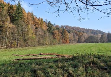 Percorso A piedi Žernov - NS Jakuba Míly - Photo