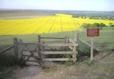 Tocht Te voet Dacorum - Foresters' Walk - Photo