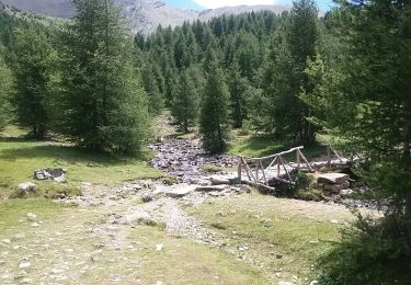 Tour Wandern Les Orres - les orres 1800 . lac sainte marguerite / montée par le sentier et retour par la piste - Photo