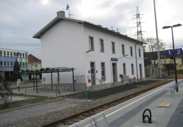 Tour Zu Fuß Leobersdorf - Elektro Wöhrer Runde 