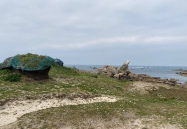Trail Walking Plounéour-Brignogan-Plages - Pour Menez-ham  - Photo