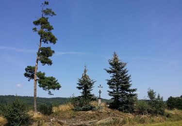 Tour Zu Fuß Gemeinde Moorbad Harbach - Erlebnisweg Heinrichs - Photo