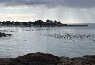 Excursión Carrera Assérac - De Pen Bé à Trehiguier (37k 335D+) - Photo