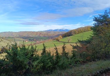 Tocht Stappen Chasselay - La table d'orientation à Chasselay marche - Photo