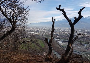 Trail Nordic walking Seyssins - Le Tour des Rochers de Comboire - Photo