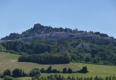 Percorso A piedi Bertinoro - La Via delle Acque - Photo