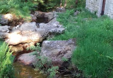 Tour Wandern Pérols-sur-Vézère - perol sur vézére  - Photo