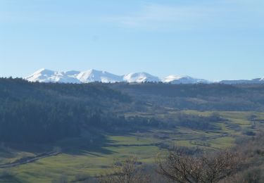 Tour Wandern Montaigut-le-Blanc - puy de gourdon - Photo