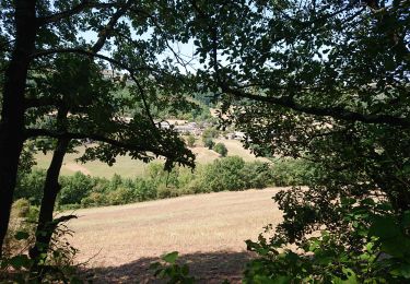 Excursión Senderismo Laval-Roquecezière - Boucle de Combret depuis ND d'Orient - Photo