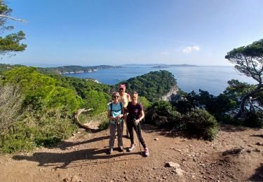 Excursión Senderismo Hyères - la madrague ouest  - Photo