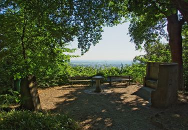 Trail On foot Unknown - Themenweg Kult(ur)wald - Photo