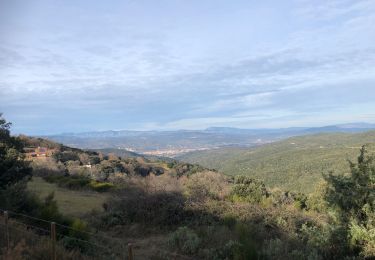 Tour Wandern Casefabre - 20210126 col Ste Marguerite - boucle - Photo