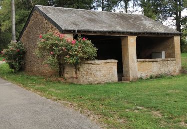 Tour Wandern Florenville - Rando St Cécile 12km200 2020 - Photo