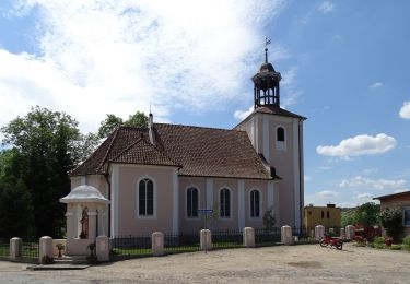 Percorso A piedi  - Szlak Opaleński - Photo