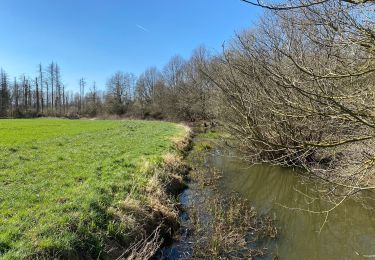 Randonnée Marche Aerschot - Gelrode 14,7 km - Photo