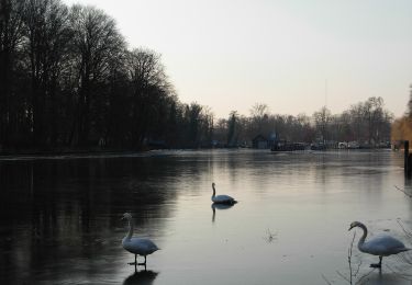 Tour Zu Fuß Königs Wusterhausen - Rundweg Krüpelsee - Photo