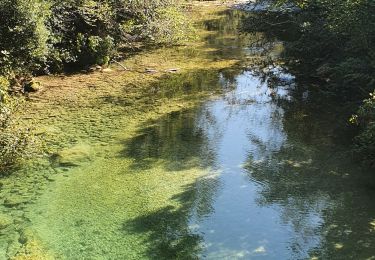 Percorso Marcia Saint-Cézaire-sur-Siagne - si cezaire sur siagne - Photo