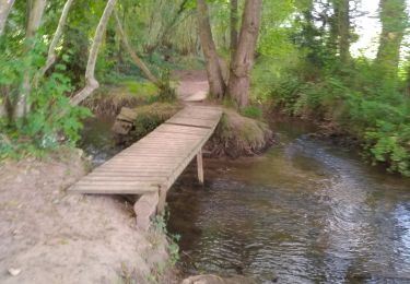 Tocht Te voet Soumont-Saint-Quentin - 2020-09-10_14h10m14_la breche au diable - Photo