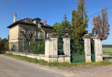 Randonnée Marche Domremy-Landéville - Domremy Cote de Presle-les Achets - Photo