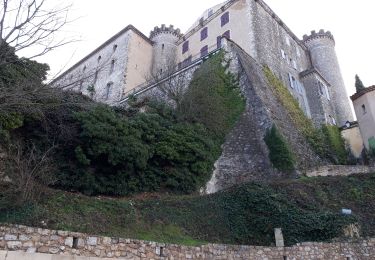 Randonnée Marche Saint-Martin-de-Pallières - La montagne d'Artigues 16-12-2020 - Photo