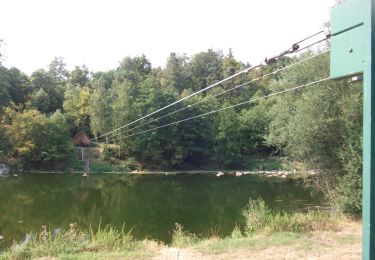 Percorso A piedi Regenstauf - Tour 9 »Flusswanderung« - Photo