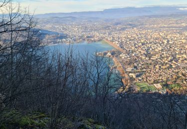 Percorso Marcia Annecy - Boucle  VEYRIER - Photo