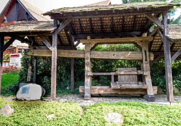 Tour Zu Fuß Sasbachwalden - Schnapsbrunnenweg 2 - Photo