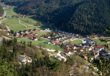 Trail On foot Gemeinde Muggendorf - Myrafälle - Karnerwirt - Hausstein - Wildgehege - Myrafälle - Photo