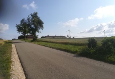 Tocht Te voet Gomadingen - Steinenkirch Waldhausen Weiler Helfenstein Geislingen - Photo