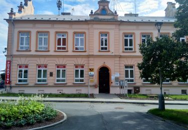 Excursión A pie Olomouc - žlutý místní okruh Svatý kopeček - Photo