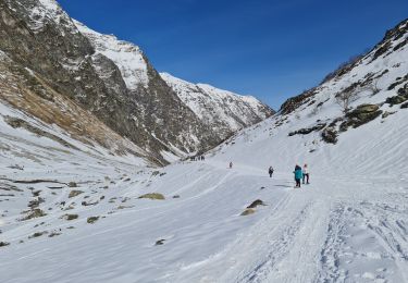 Randonnée Raquettes à neige Aragnouet - Piau-Engaly: Neste de Badet, lac de Badet (boucle) - Photo