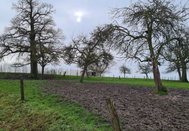 Excursión Senderismo Soignies - Tour chapelle des Cerisiers - Photo