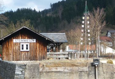 Percorso A piedi Wallenfels - Silberberg-Weg RT 11 - Photo