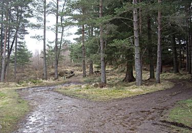 Percorso A piedi  - Blackhall Loop Trail - Photo