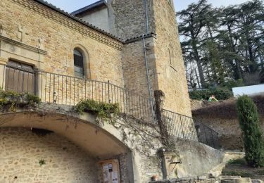 Excursión Senderismo Anjou - les châteaux Anjou - Photo