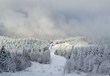 Tour Skiwanderen Sarcenas - 151224 Vers Chamechaude - Photo