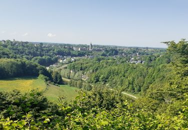 Trail Walking Thuin - Hourpes Thuin bois - Photo