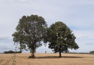 Trail Walking Verviers - Stembert . les Roudoudous . Stembert - Photo