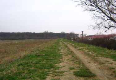 Trail On foot Arad - RO-Patrat Rosu - Photo