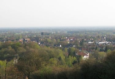 Trail On foot Halle (Westf.) - Weg für Genießer - Halle-Borgholzhausen - Photo