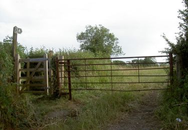 Percorso A piedi  - Three Peaks Walk - Photo