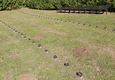 Percorso A piedi Gomadingen - Truppenübungsplatz Wanderweg Nr. 5 (Variante 2): Gruorn - Nordseite Altes Lager - Photo