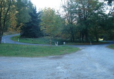 Excursión A pie Wiesen - Ortswanderweg Wiesen 2 - Photo