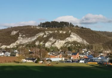 Excursión Bici de montaña Yvoir - GODINNE ... par le Château de Senenne.  - Photo