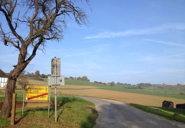 Randonnée A pied Liebenau - Lamerden - Hofgeismar - Photo