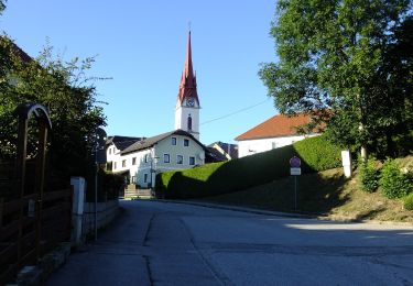 Tocht Te voet Neumarkt im Mühlkreis - Museums-Rundweg - Photo