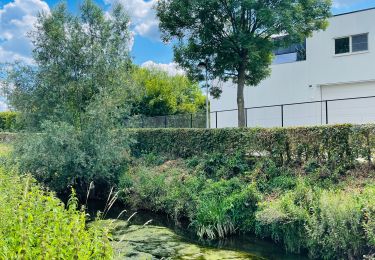 Randonnée Marche Diepenbeek - La vallée du Démer - La réserve naturelle Dorpsbemden à Diepenbeek - Photo