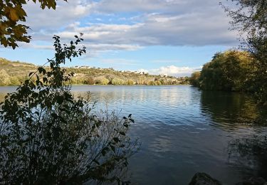 Randonnée Marche Dijon - DIJON ; Lac Kir, Puits de Moïse  (04-11-2019) - Photo