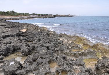 Tour Zu Fuß Ostuni - Variante Via Francigena - Photo